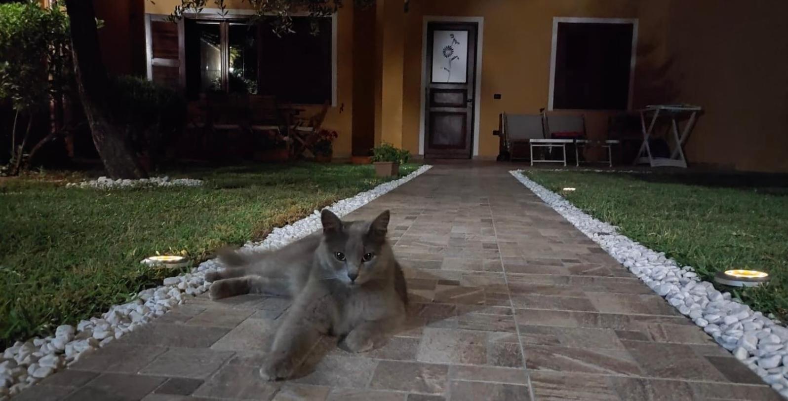 Casa Vacanze Shardana อีเกลเซียส ภายนอก รูปภาพ